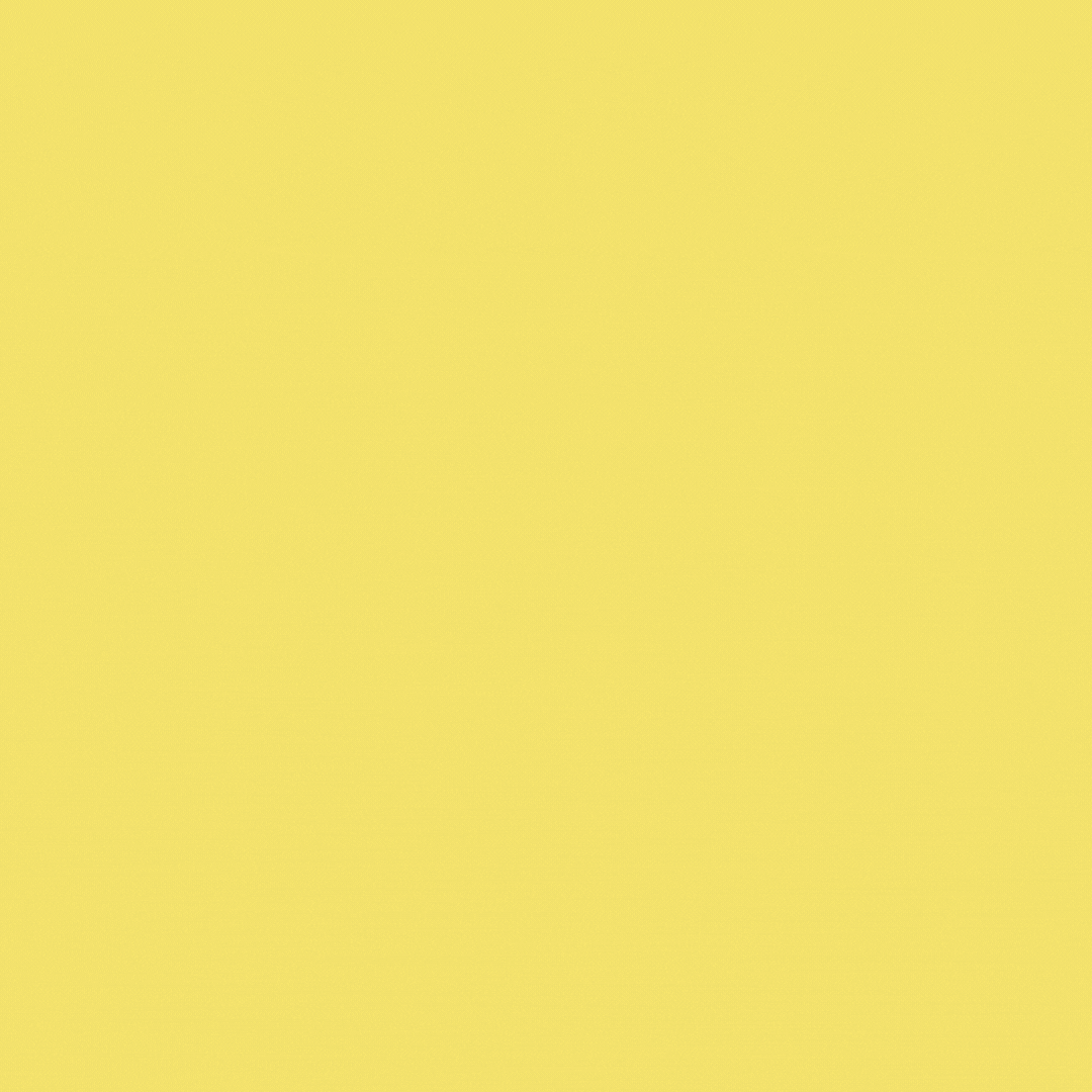 Neo Pop Picnic Hosts yellow animated square gif